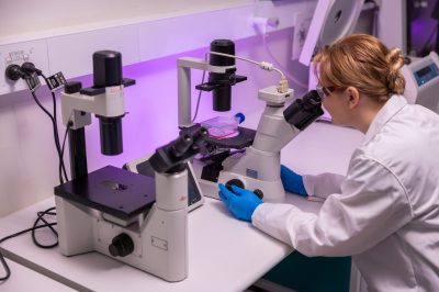 _BCC2046_Tissue_Culture