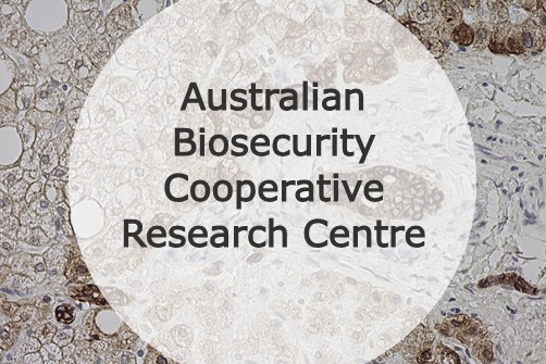 Curtin joins Australian Biosecurity Cooperative Research Centre with  $8 million in funding