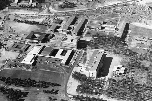 WAIT’s first intake of students includes pharmacy as an inaugural discipline